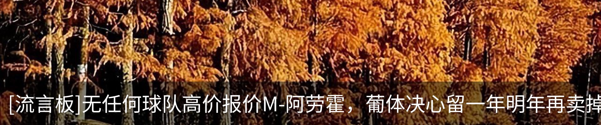 新闻中心